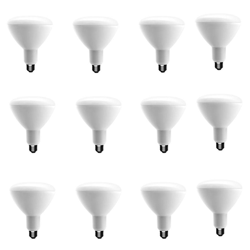 75-Watt Equivalent BR40 Dimmable LED Light Bulb Daylight (12-Pack)